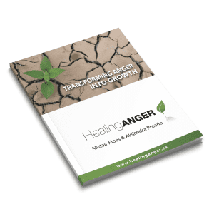 Healing Anger: Transforming Anger Into Growth (PDF Copy)
