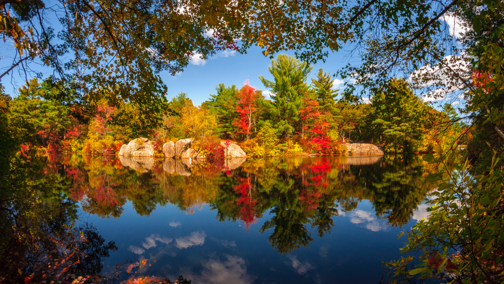 What Fall Can Teach Us About Letting Go | Healing Anger