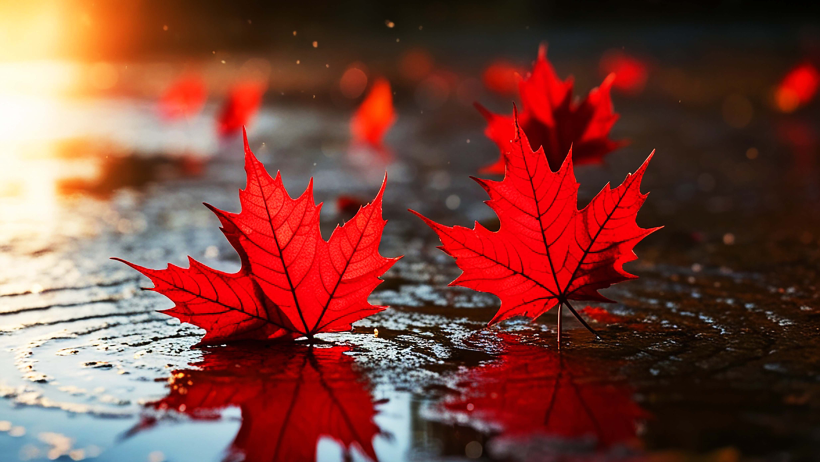 What Fall Can Teach Us About Letting Go | Healing Anger